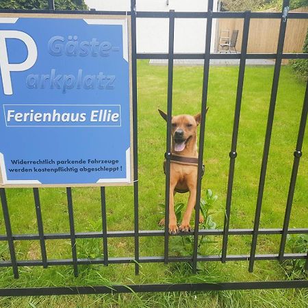 Ferienhaus Ellie Haffkrug Buitenkant foto