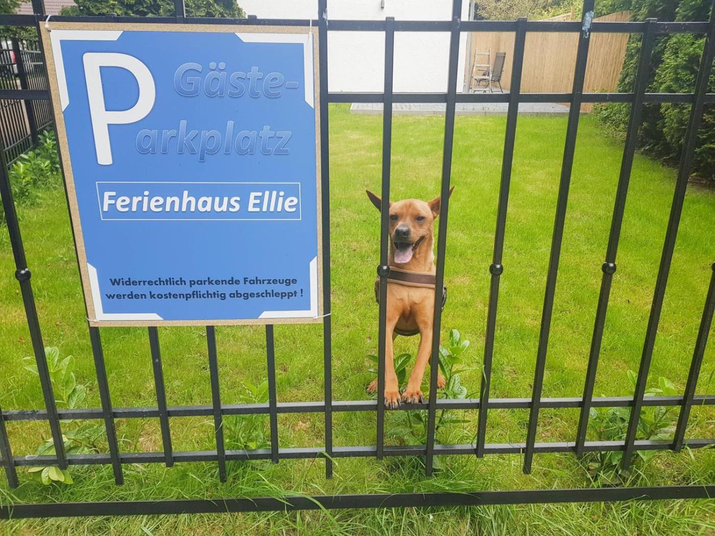 Ferienhaus Ellie Haffkrug Buitenkant foto